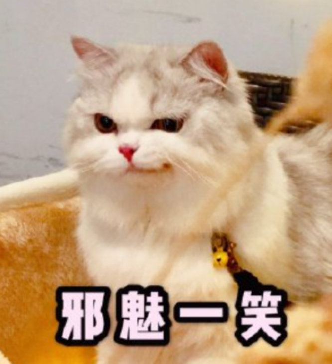 图13.jpg