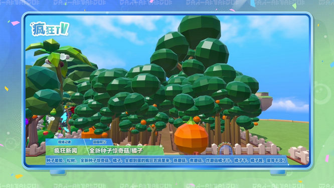 1762482108262253.jpg 4.jpg